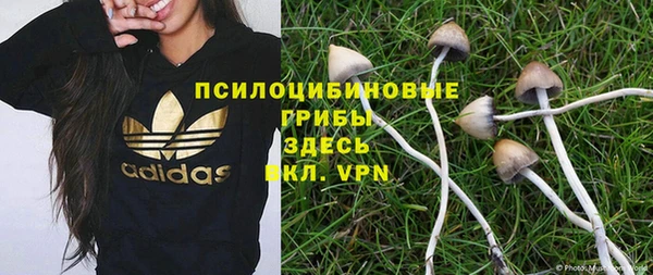 MESCALINE Гусиноозёрск