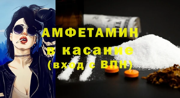 шишки Нея