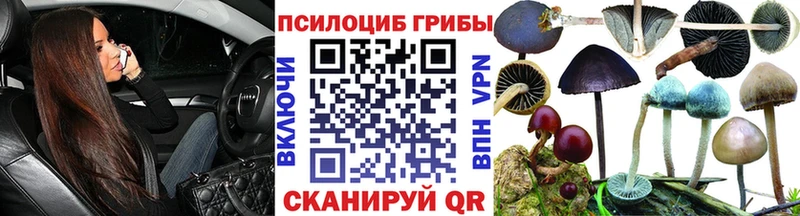Галлюциногенные грибы мицелий Острогожск