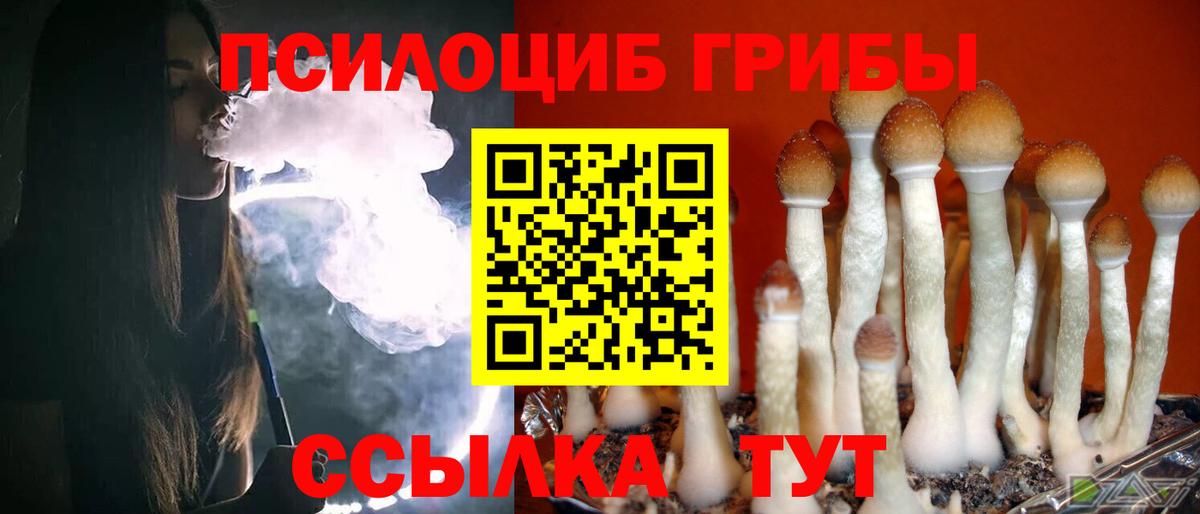 Галлюциногенные грибы Cubensis Острогожск